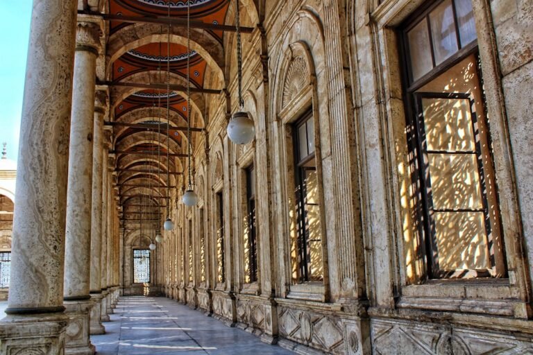 Director of Nursing salary in Cairo - Photo by Valentina Rubio on Unsplash